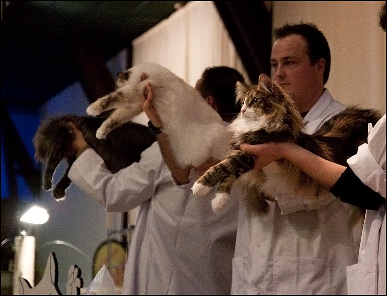 Podium 3.jpg - Podium